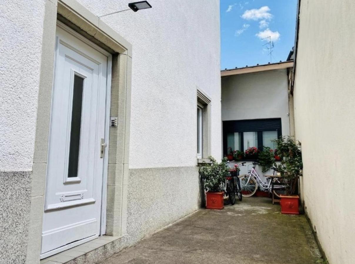 Le 16 - Charmant Appartement Proche Du Centre Ville Strasburgo Esterno foto